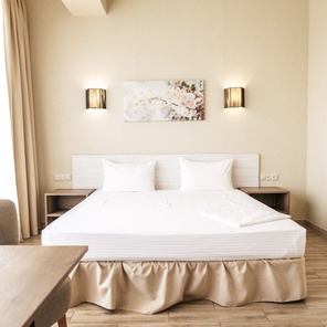 Джуниор Сюит с душевой кабиной